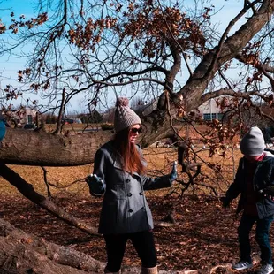 Climbing the giant tree at the Olathe community center