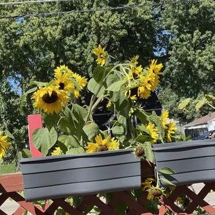 Beautiful room w a view (front porch)