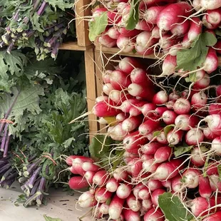 radishes and other vegetables