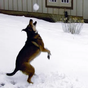 She makes the catch!