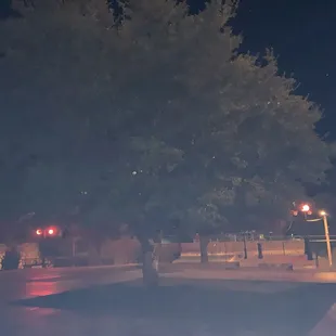 Something weird in trees