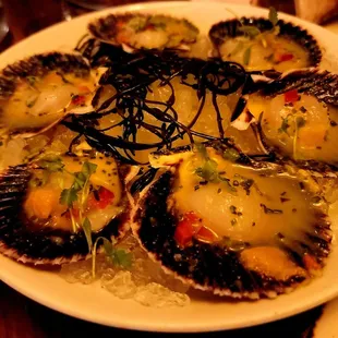 Scallop Crudo
