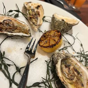 Grilled Oysters