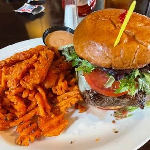 Bison Burger