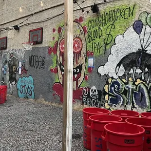 a woman standing in front of a graffiti covered wall