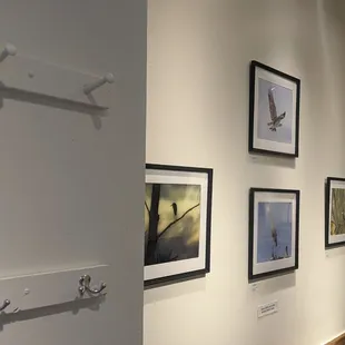 a hallway with framed photographs