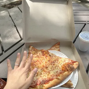 Plain slices. They're HUGE! I didn't realize.