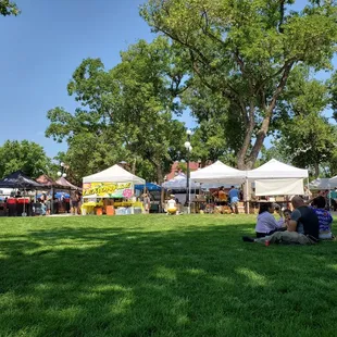 Beautiful green grass and a shady spot to sit