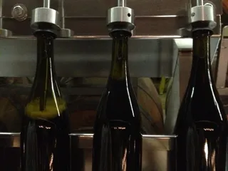 Bacchus Winemaking Club