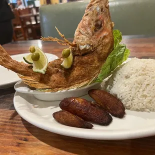 Fried snapper with rice/beans and plantains