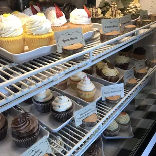 Pastry Case