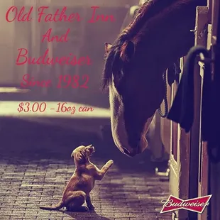 ramen and noodles, outside