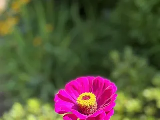 Bullington Gardens