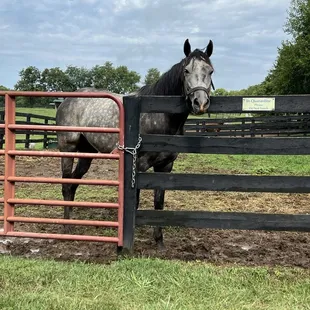 Militarist who is new and in quarantine