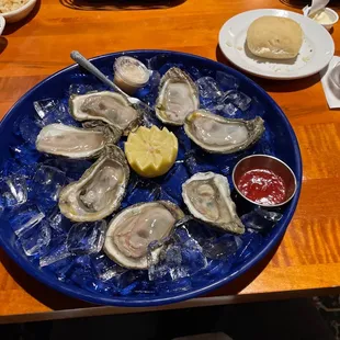 Oysters on the Half Shell