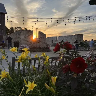 the setting of the sun in the distance