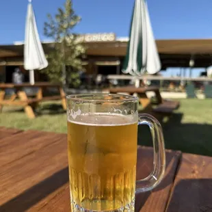 Great day for a beer!