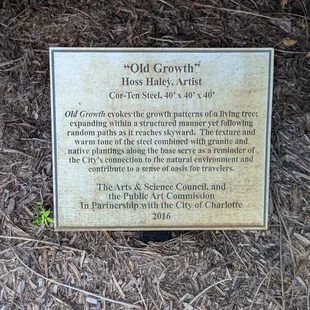 Old Growth, Wilson Air Center, Charlotte