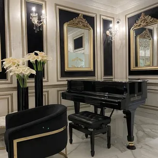 Exquisite interior