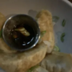 Fried Pork Dumplings