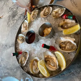 Oysters