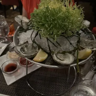 Oysters from looong island