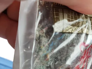 Metzler's Food & Beverage