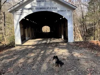 Turkey Run State Park