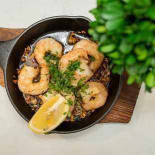 oysters and mussels, food