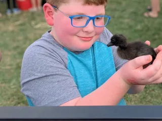 Middletown Family Fun Fest