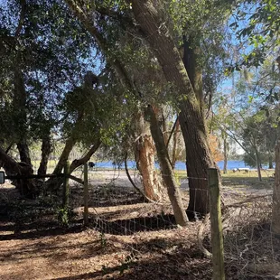 Acreage of the farm with animals and all kinds of fun!