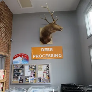 Now you know where to go.