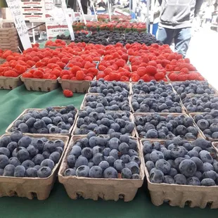 Berries and more berries!