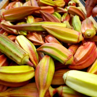 Gorgeously multi-hued okra!