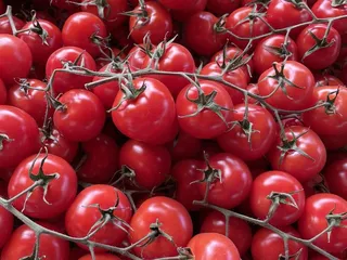 Bayfair Farmers' Market