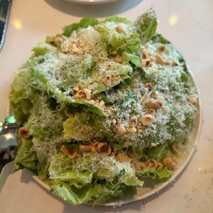 Bistro Salad (5/23)