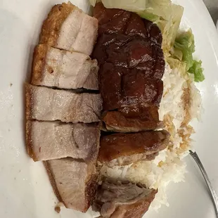 Rice Plates