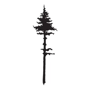 Old Pine Coffee Roasters Logo #2