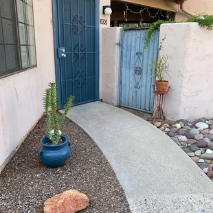 Two cacti in pots for my condo.