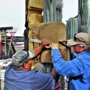 20180421 Mining Saguaros at Old Pueblo Cactus in Tucson