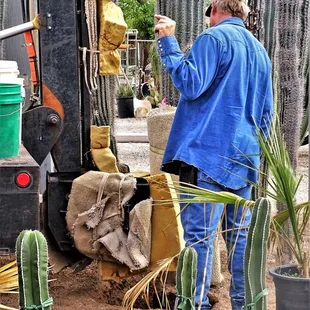 20180421 Mining Saguaros at Old Pueblo Cactus in Tucson
