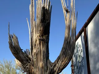 B & B Cactus Farm