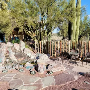 a patio and cactus
