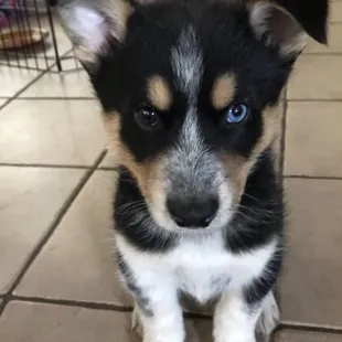 Just the cutest cutie you've ever seen.