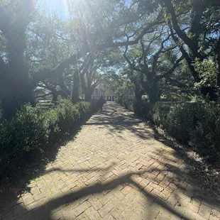 Whitney plantation