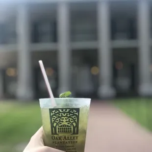 Mint Julep