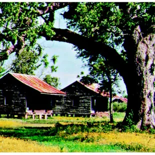 slave cabin at Laura