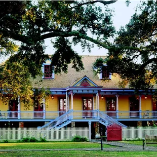 Laura plantation