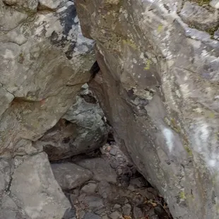 Good place for hide and seek.