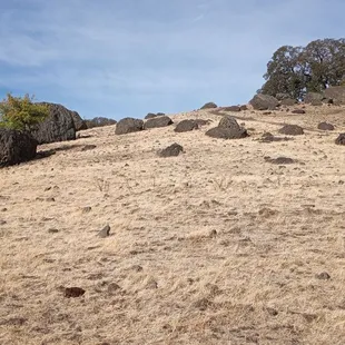 Hardly any volcanoes